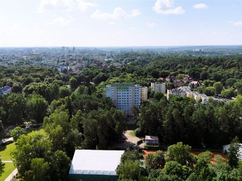 Zdjęcie ogłoszenia -  