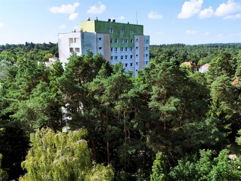 Zdjęcie ogłoszenia -  