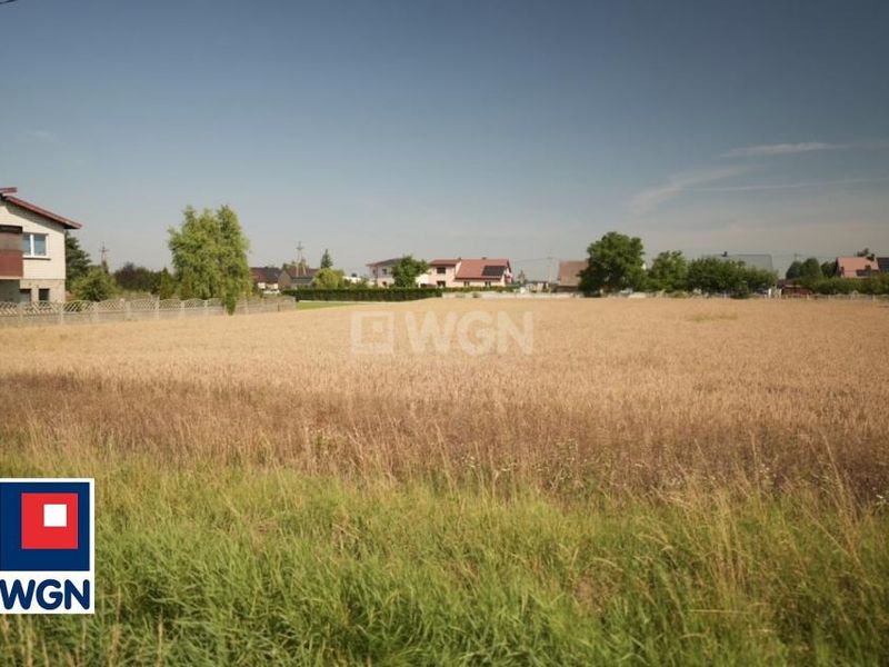 Zdjęcie ogłoszenia -  