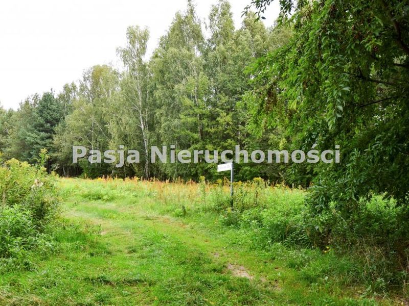Zdjęcie ogłoszenia -  