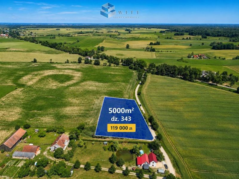 Zdjęcie ogłoszenia -  