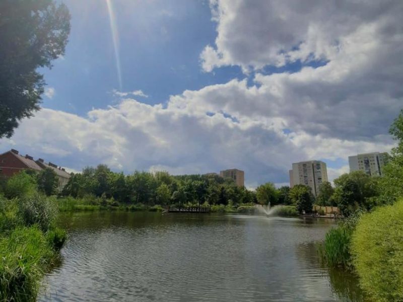 Zdjęcie ogłoszenia -  