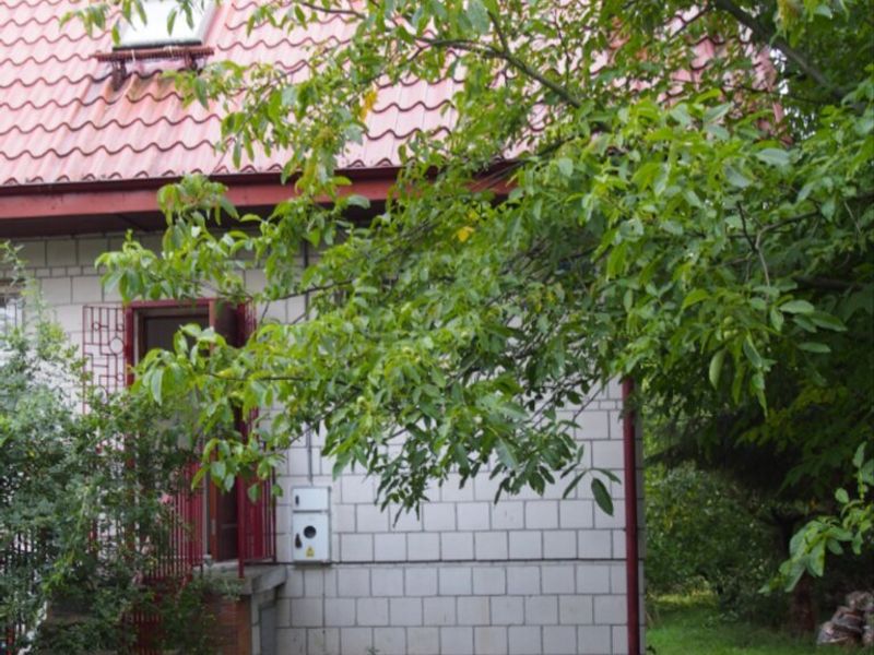 Zdjęcie ogłoszenia -  