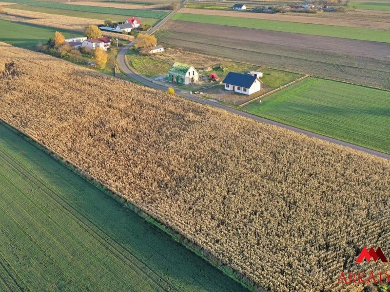 Zdjęcie ogłoszenia -  