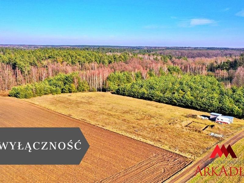 Zdjęcie ogłoszenia -  