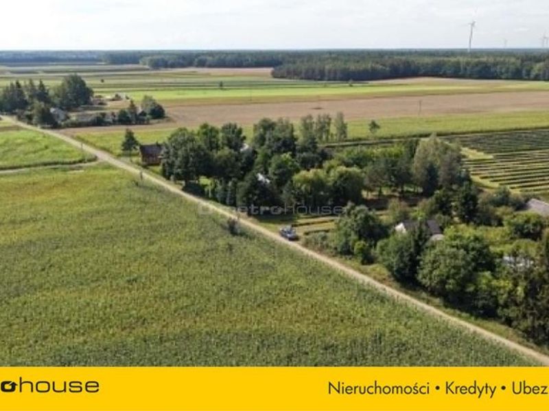 Zdjęcie ogłoszenia -  
