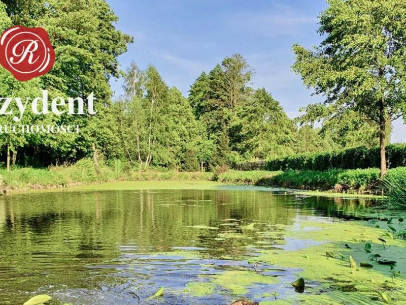 Zdjęcie ogłoszenia -  