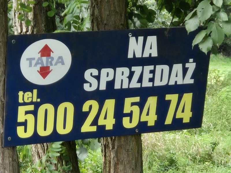 Zdjęcie ogłoszenia -  