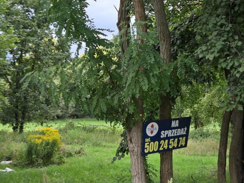 Zdjęcie ogłoszenia -  
