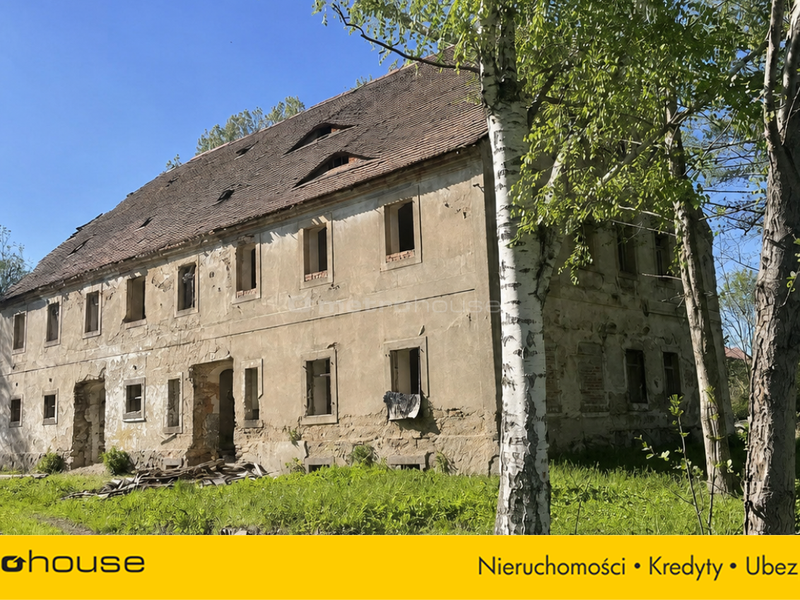 Zdjęcie ogłoszenia -  