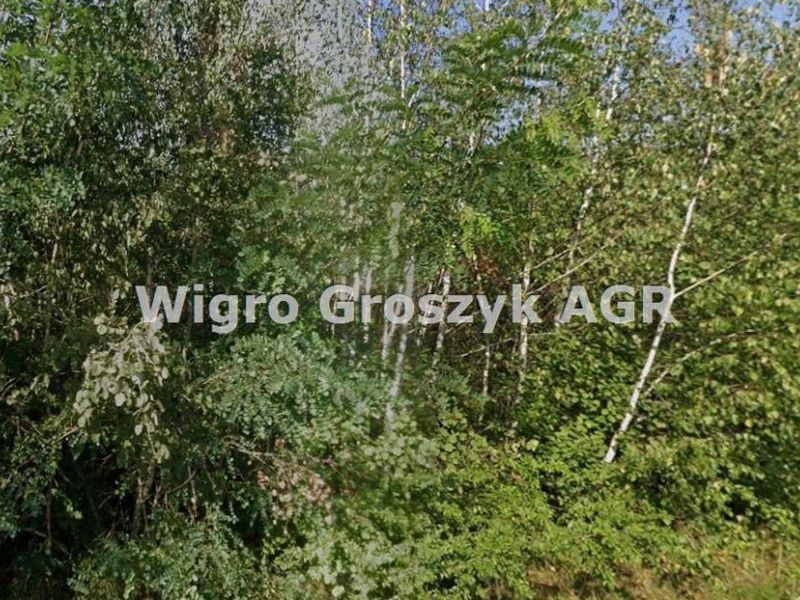 Zdjęcie ogłoszenia -  