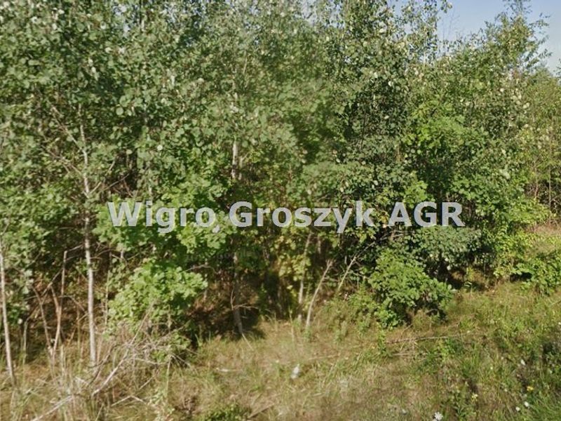 Zdjęcie ogłoszenia -  