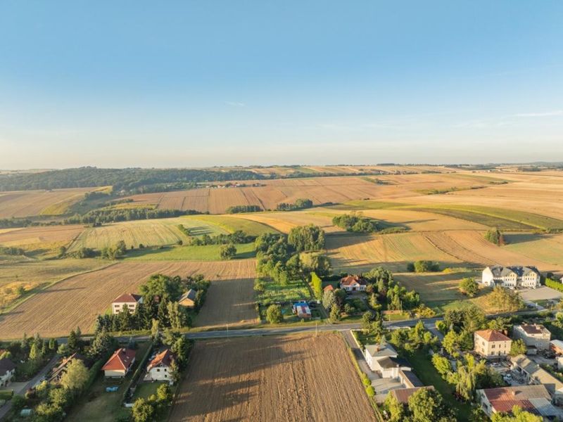 Zdjęcie ogłoszenia -  
