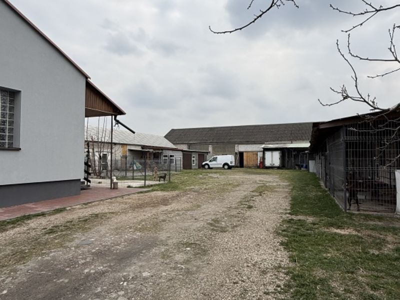 Zdjęcie ogłoszenia -  