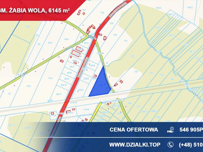 Zdjęcie ogłoszenia -  