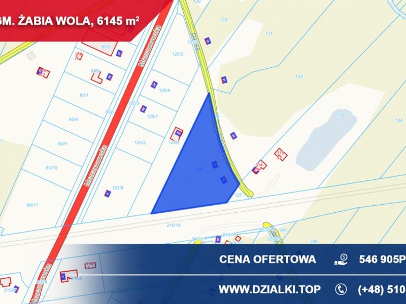 Zdjęcie ogłoszenia -  