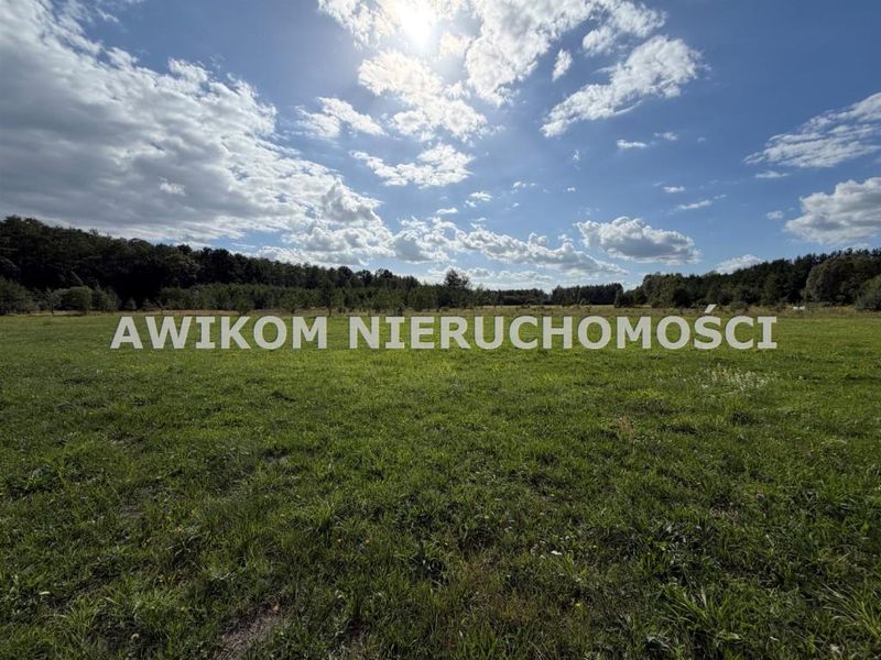 Zdjęcie ogłoszenia -  