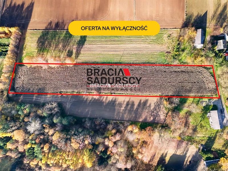 Zdjęcie ogłoszenia -  