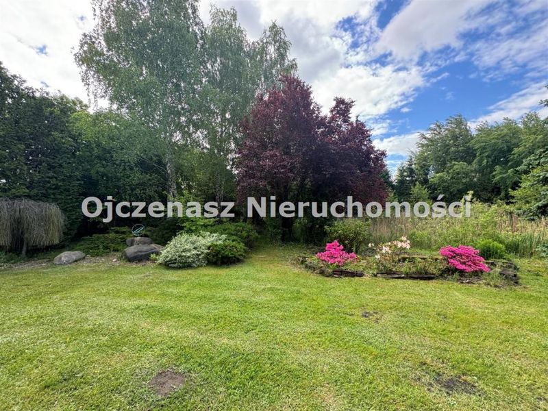 Zdjęcie ogłoszenia -  