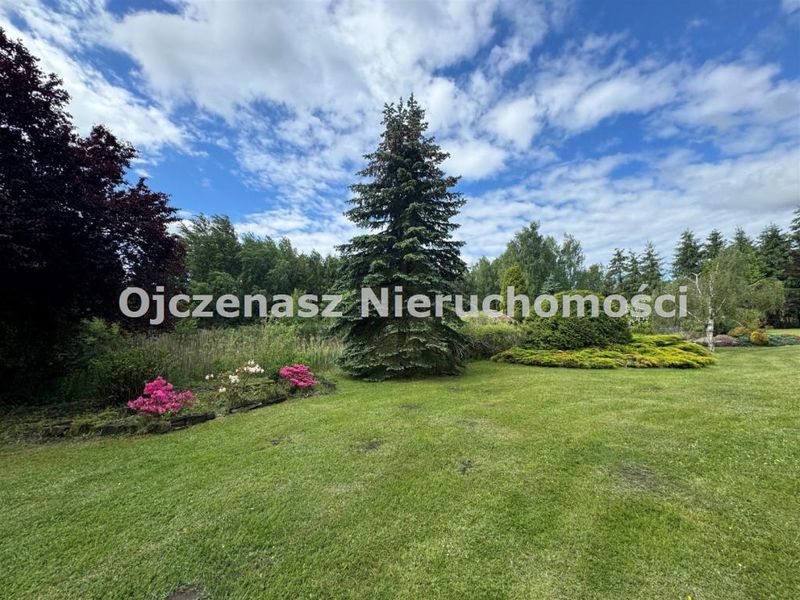 Zdjęcie ogłoszenia -  