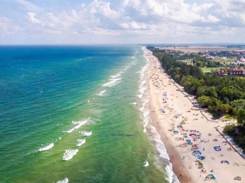 Zdjęcie ogłoszenia -  