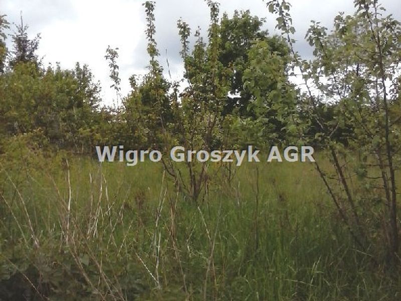 Zdjęcie ogłoszenia -  