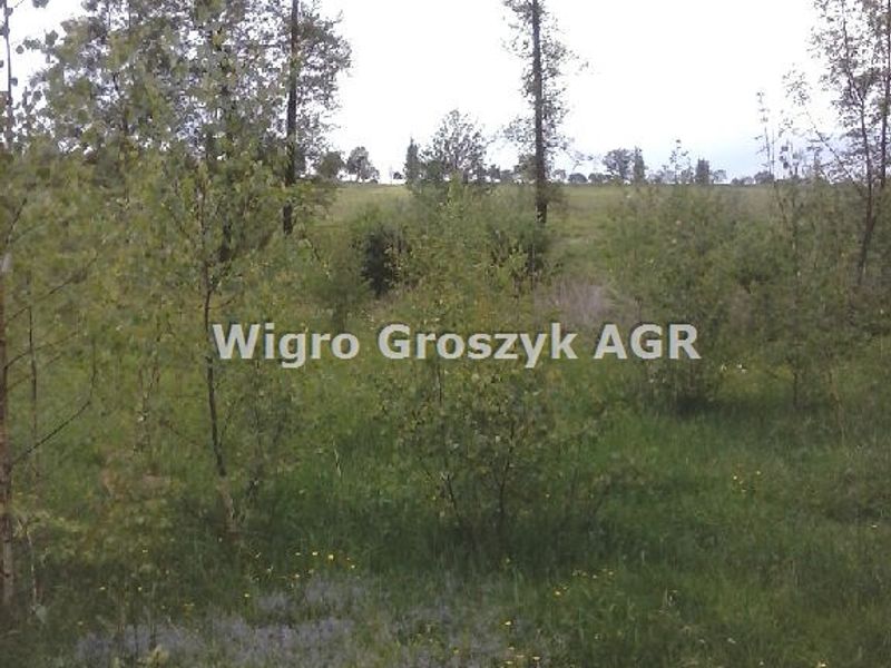 Zdjęcie ogłoszenia -  