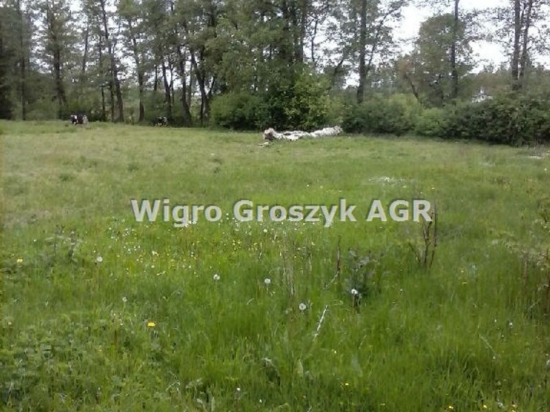 Zdjęcie ogłoszenia -  