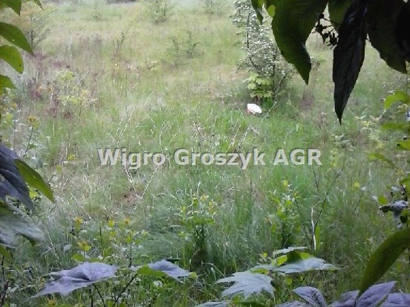 Zdjęcie ogłoszenia -  