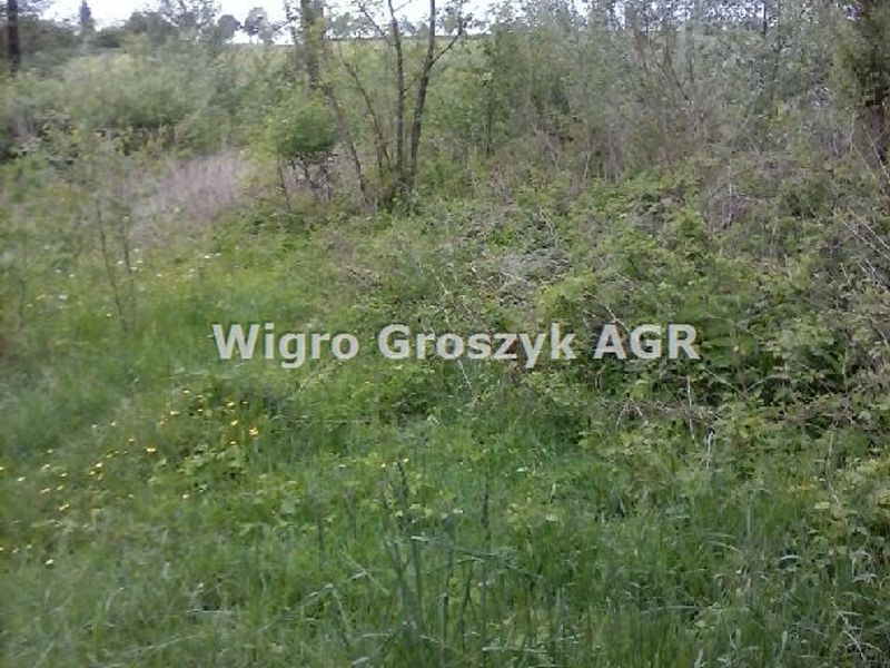 Zdjęcie ogłoszenia -  