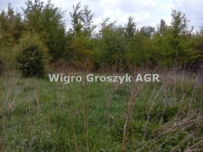 Zdjęcie ogłoszenia -  