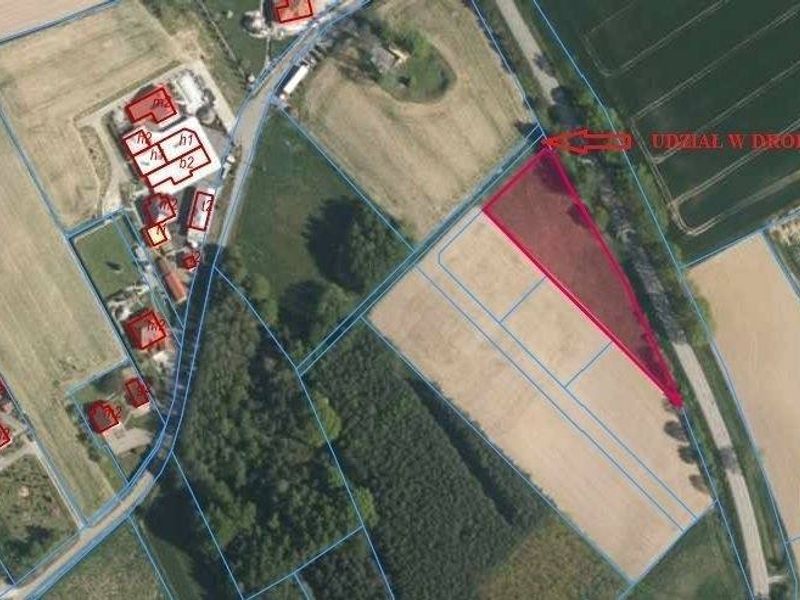 Zdjęcie ogłoszenia -  