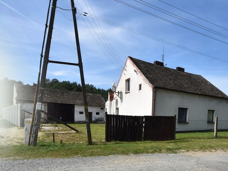 Zdjęcie ogłoszenia -  