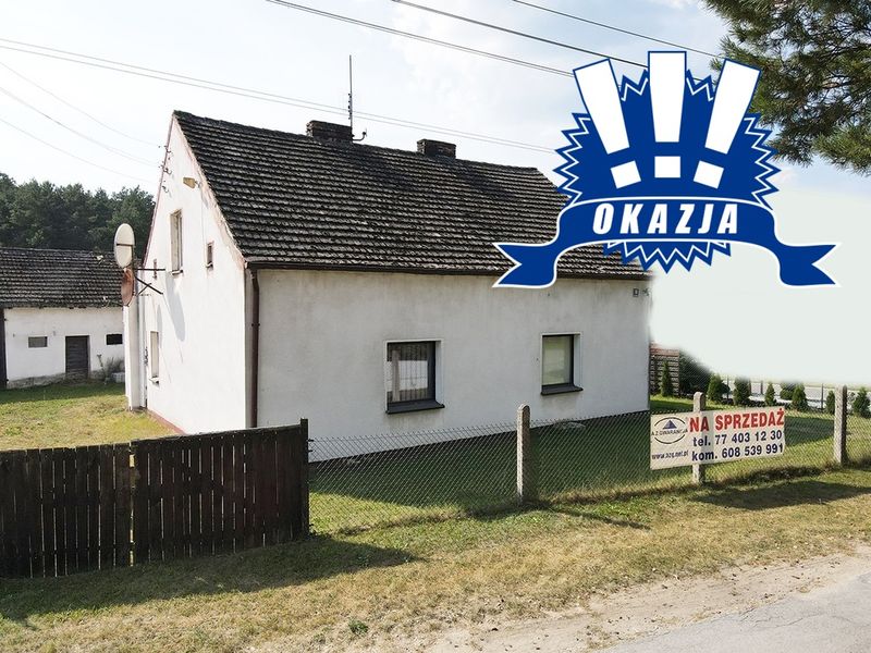 Zdjęcie ogłoszenia -  