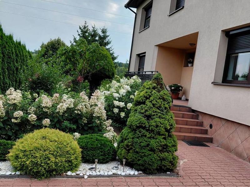 Dom 200&nbsp;m², Małkinia Dolna - ID: 15961881
