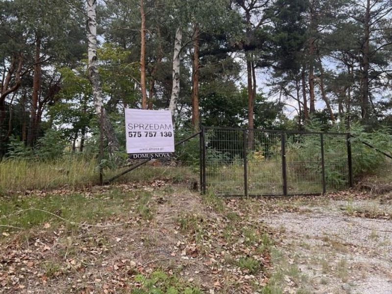 Zdjęcie ogłoszenia -  