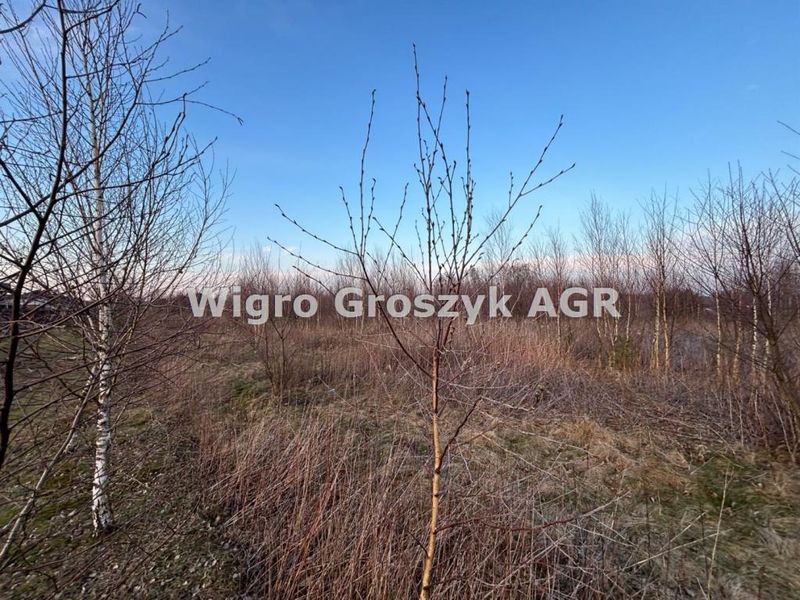 Zdjęcie ogłoszenia -  