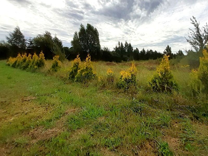 Działka budowlana 2613 m², Glincz, Cedrowa - ID: 15962123