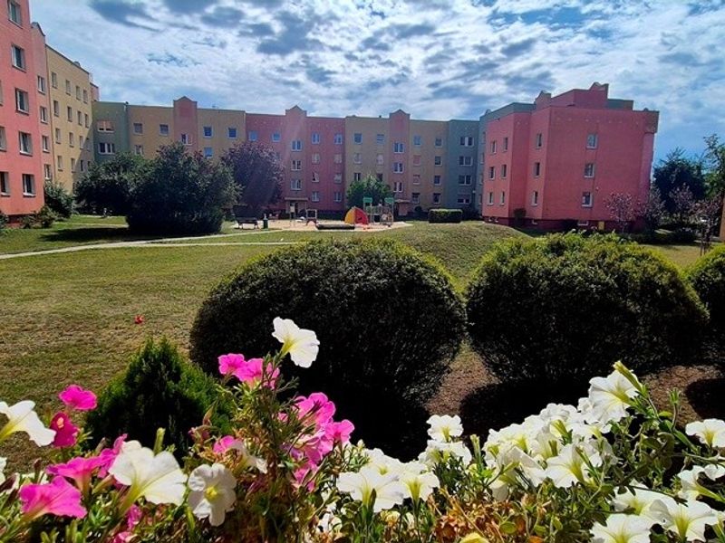 Zdjęcie ogłoszenia -  