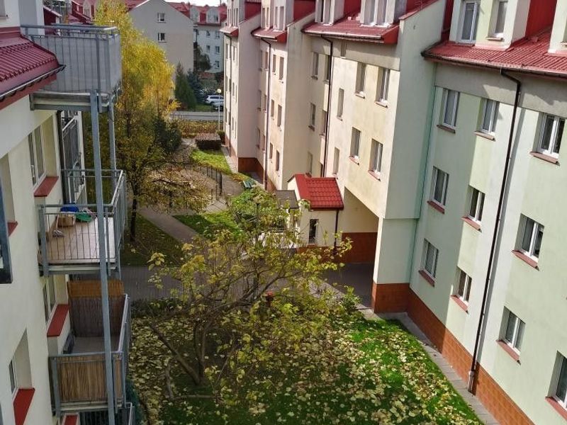 Zdjęcie ogłoszenia -  