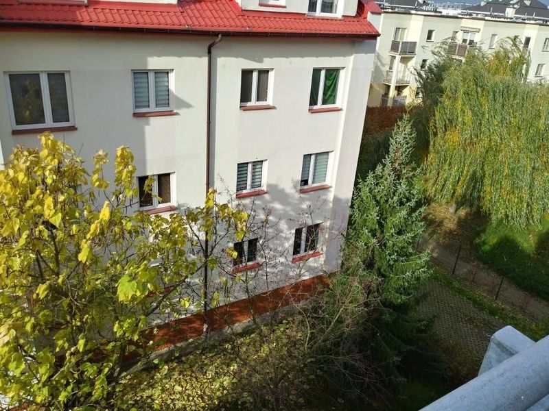 Zdjęcie ogłoszenia -  