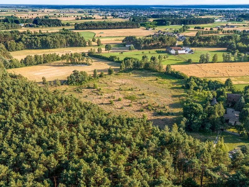 Zdjęcie ogłoszenia -  