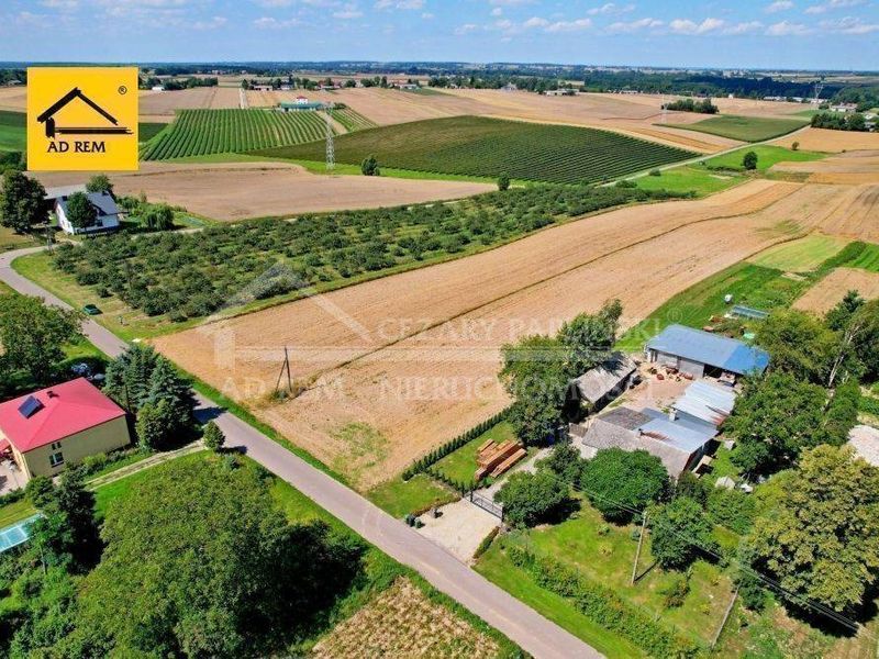Zdjęcie ogłoszenia -  