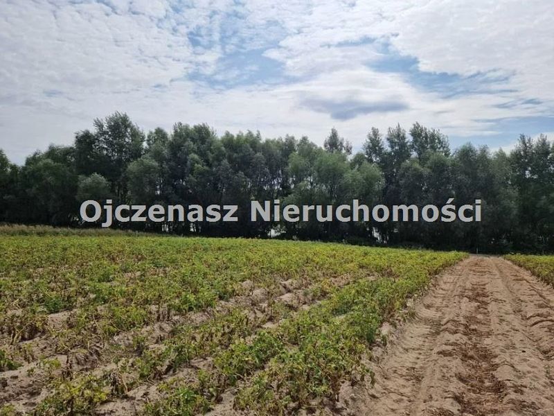Zdjęcie ogłoszenia -  