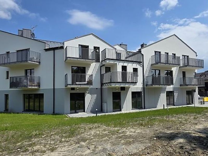 Zdjęcie ogłoszenia -  