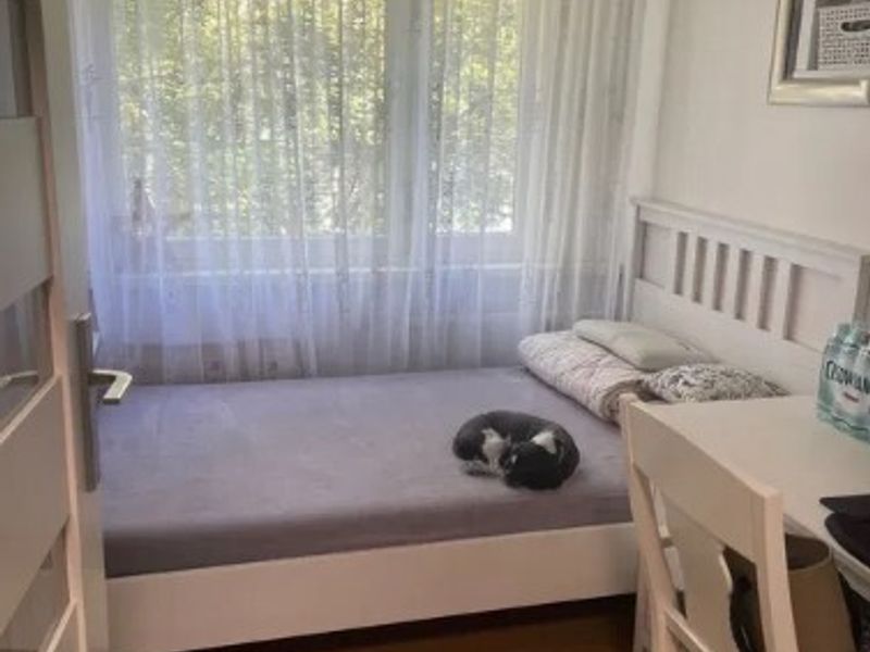 Zdjęcie ogłoszenia -  