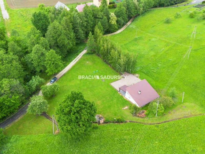 Zdjęcie ogłoszenia -  