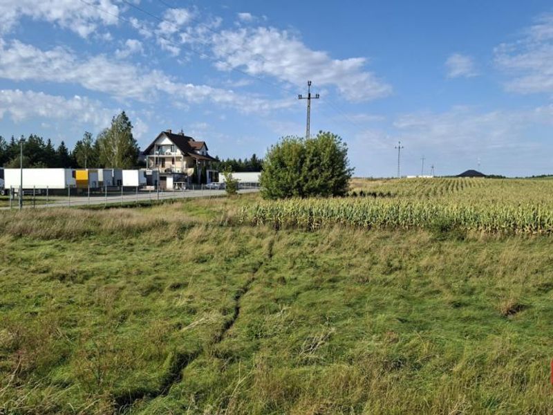 Zdjęcie ogłoszenia -  