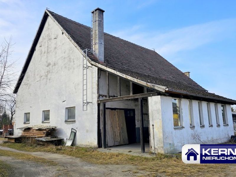 Zdjęcie ogłoszenia -  