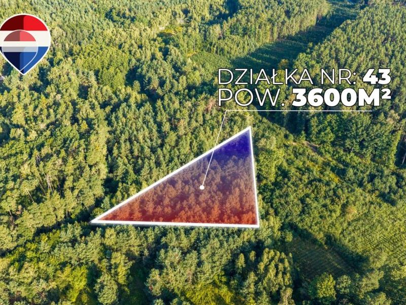 Zdjęcie ogłoszenia -  